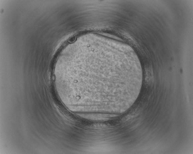 X0000074340636200609152123