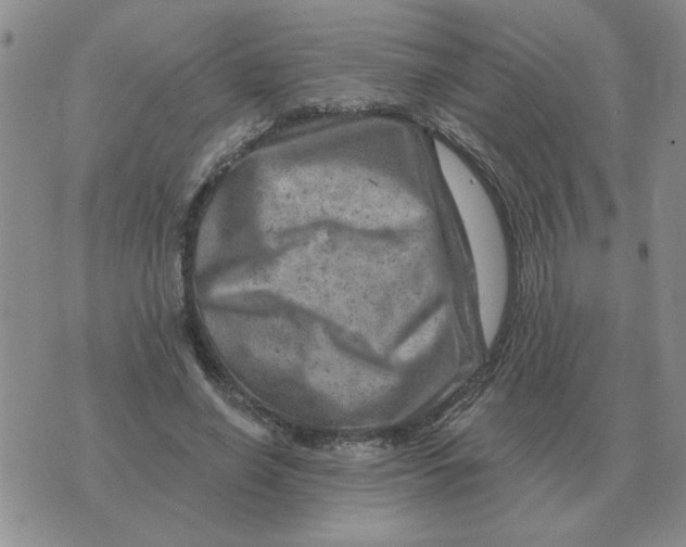 X0000074340638200609152123