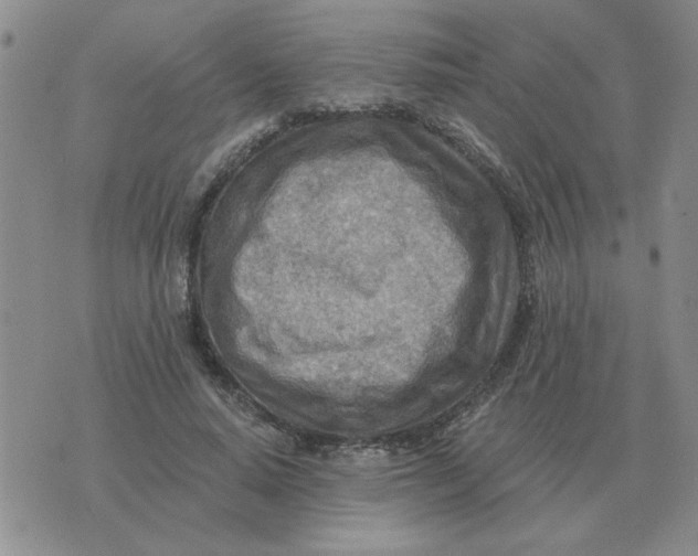 X0000074340640200609152123