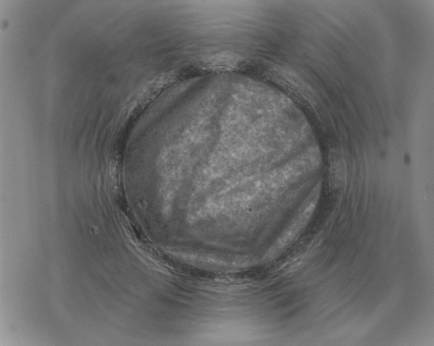 X0000074340641200609152123