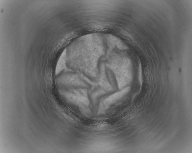 X0000074340642200609152123