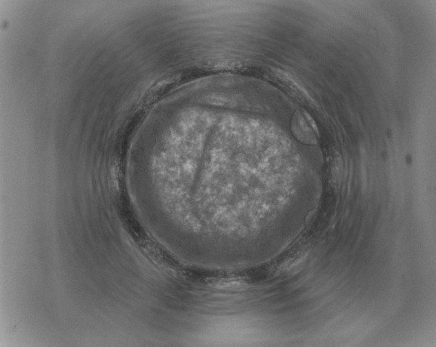 X0000074340643200609152123