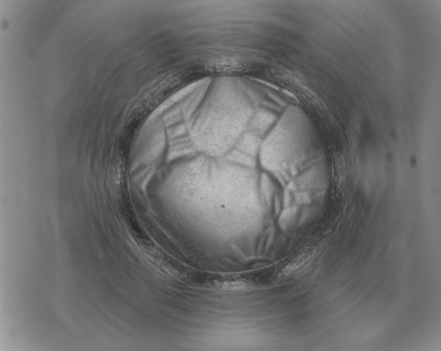 X0000074340645200609152123