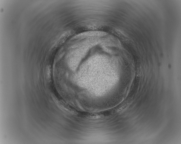 X0000074340646200609152123