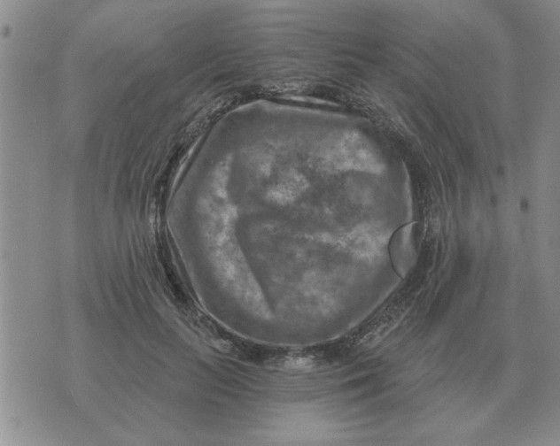 X0000074340647200609152123