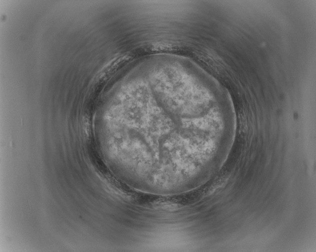 X0000074340648200609152123