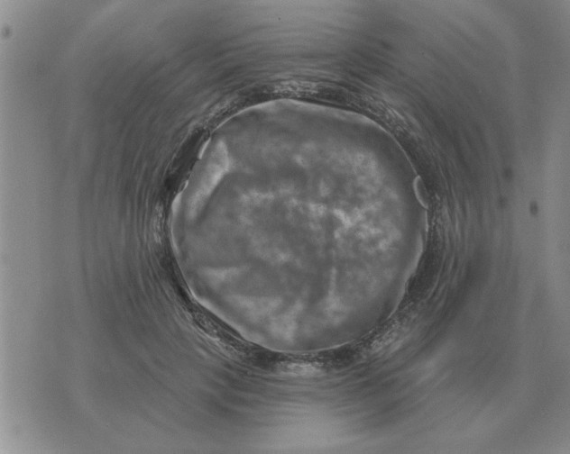 X0000074340649200609152123