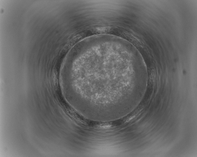 X0000074340651200609152123