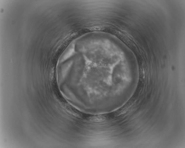 X0000074340652200609152123