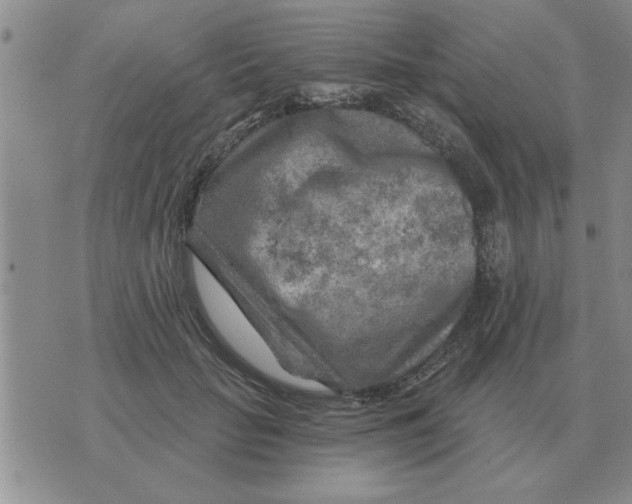 X0000074340653200609152123