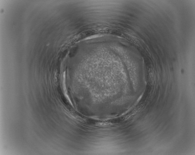 X0000074340654200609152123