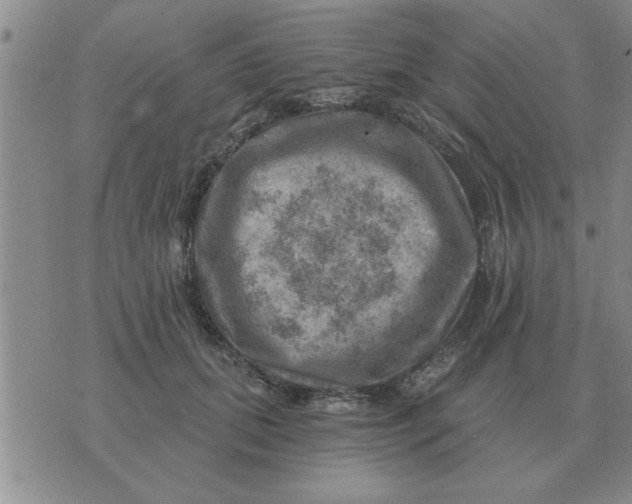 X0000074340655200609152123