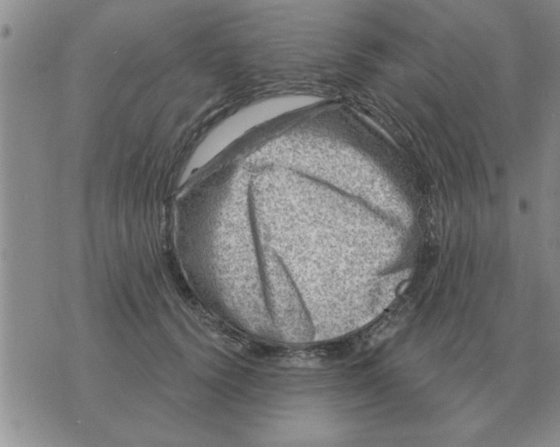 X0000074340656200609152123