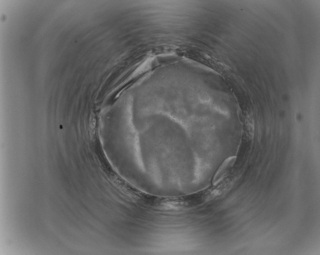 X0000074340657200609152123