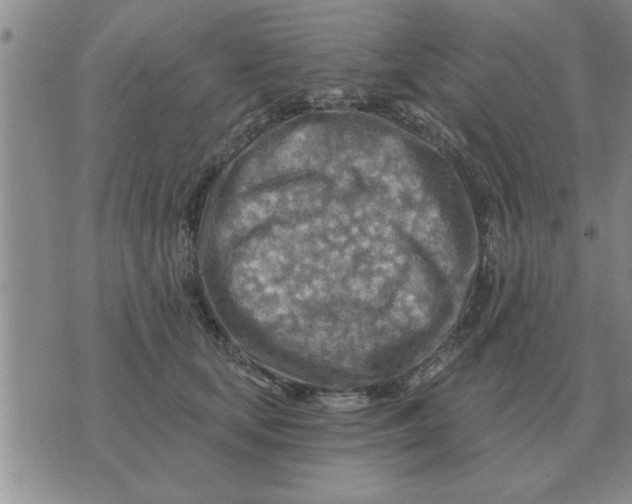 X0000074340659200609152123