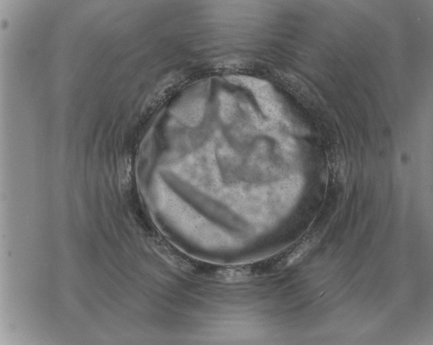 X0000074340660200609152123