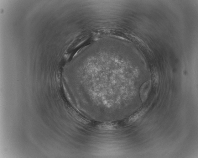 X0000074340661200609152123