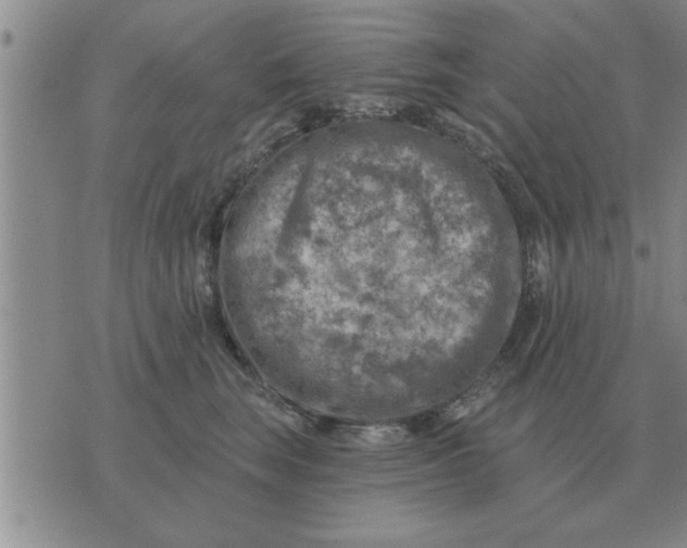 X0000074340663200609152123