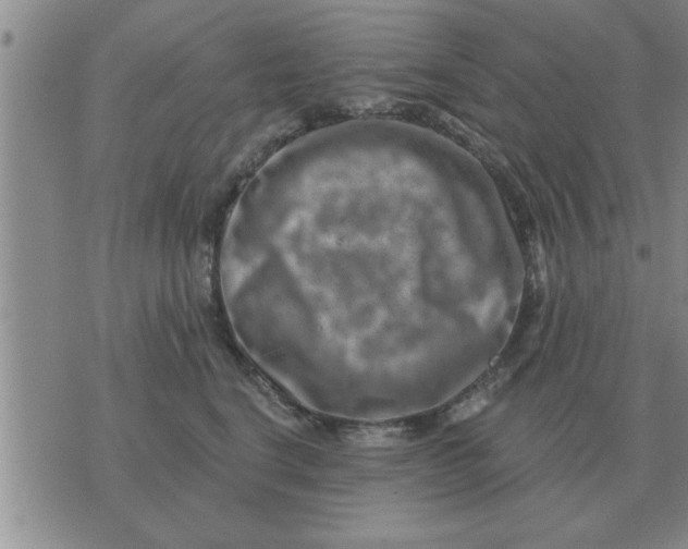 X0000074340664200609152123