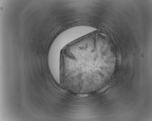 X0000074340665200609152123