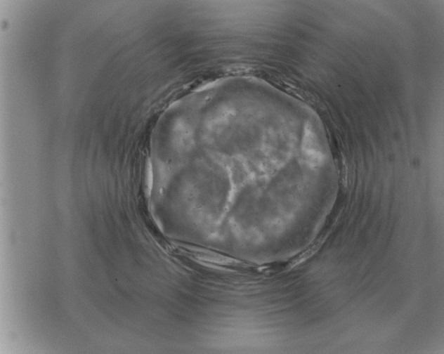 X0000074340666200609152123