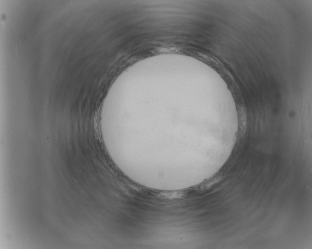 X0000074340667200609152123