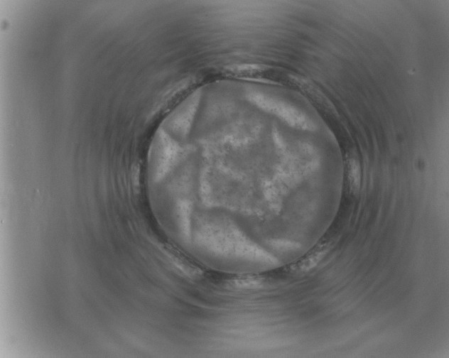 X0000074340668200609152123