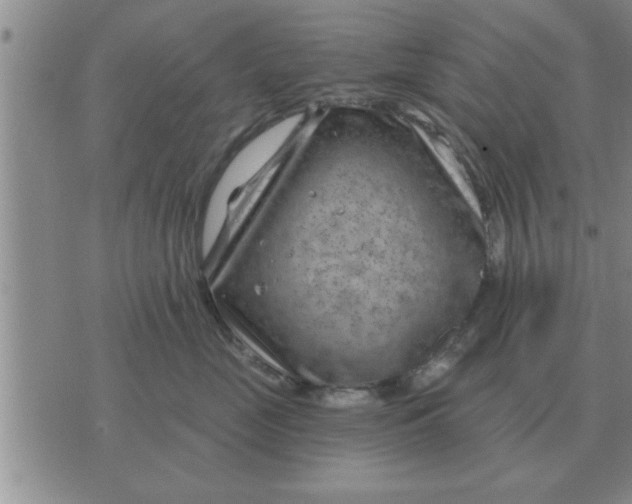 X0000074340669200609152123