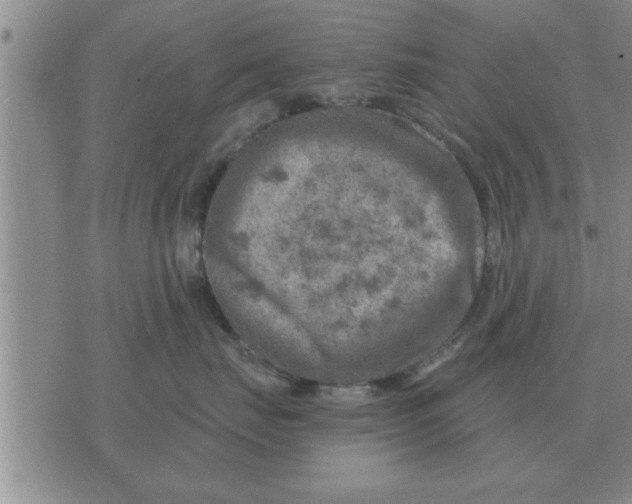 X0000074340671200609152123