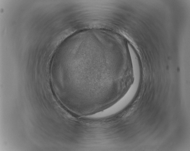 X0000074340673200609152123