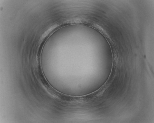 X0000074340674200609152123