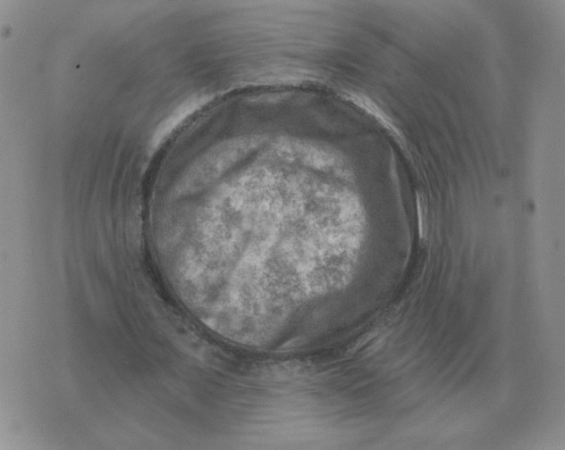 X0000074340675200609152123