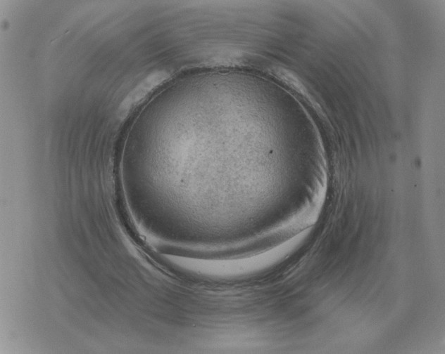 X0000074340677200609152123