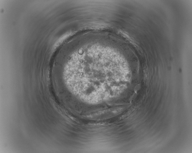 X0000074340679200609152122