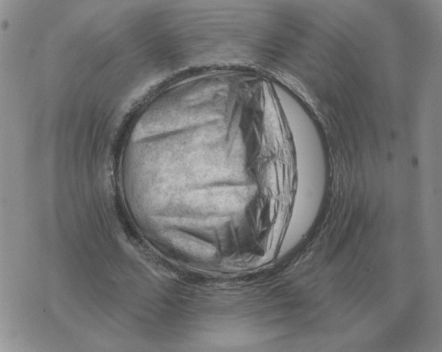 X0000074340680200609152122