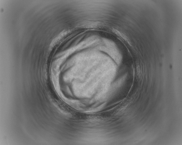 X0000074340682200609152122