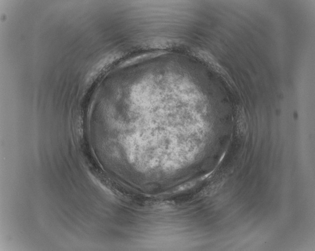 X0000074340683200609152122