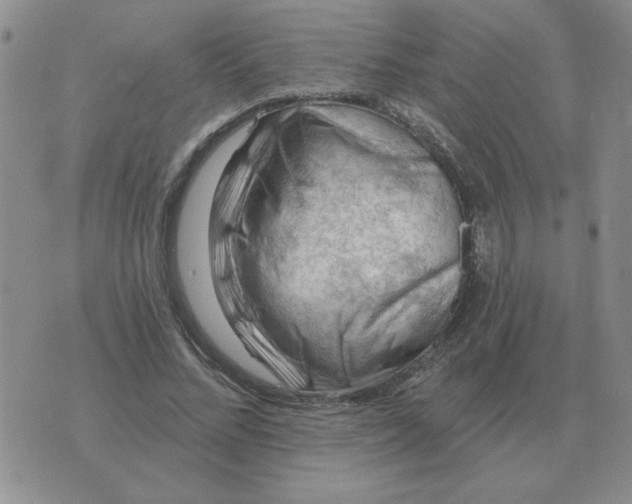 X0000074340684200609152122