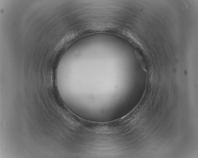 X0000074340685200609152122