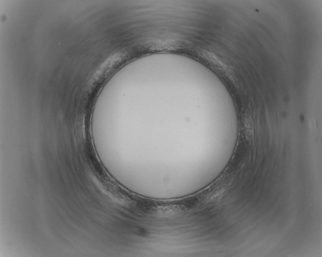 X0000074340686200609152122