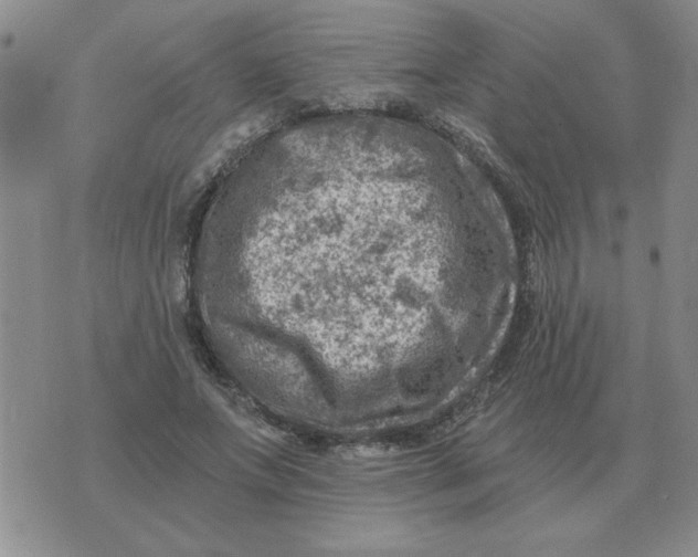 X0000074340687200609152122