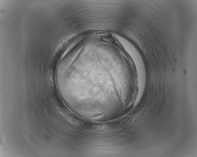 X0000074340688200609152122