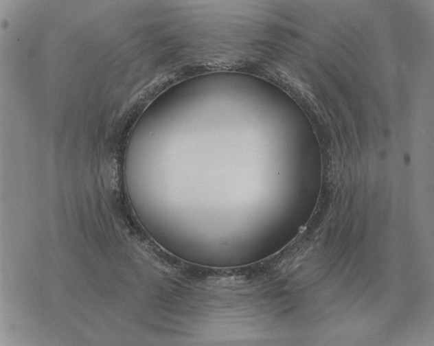 X0000074340689200609152122