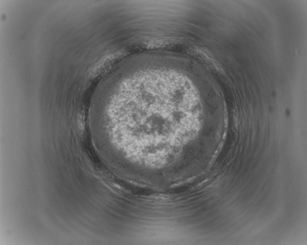 X0000074340691200609152122