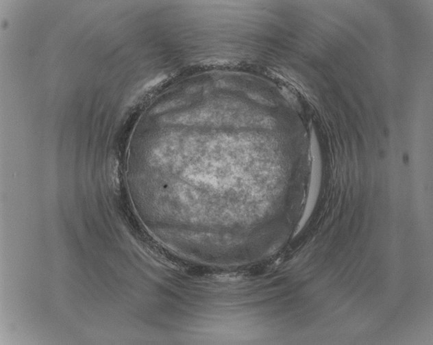 X0000074340692200609152122