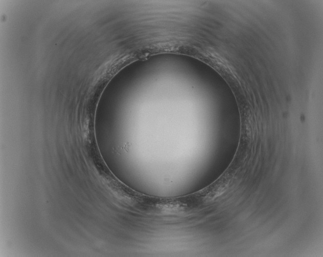 X0000074340693200609152122