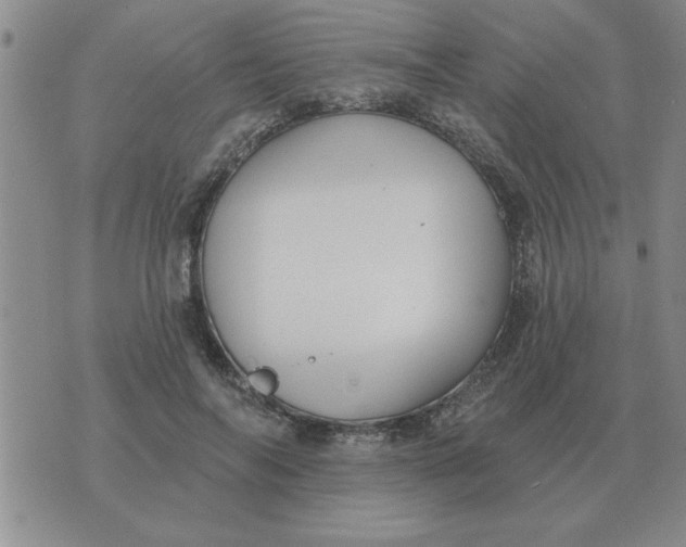 X0000074340694200609152122