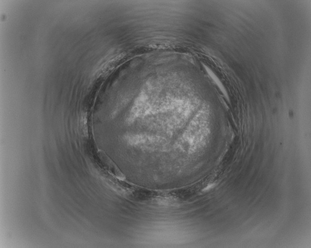 X0000074340696200609152122