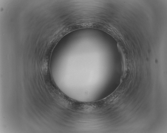 X0000074340697200609152122