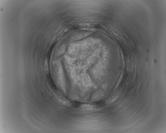 X0000074340699200609152122